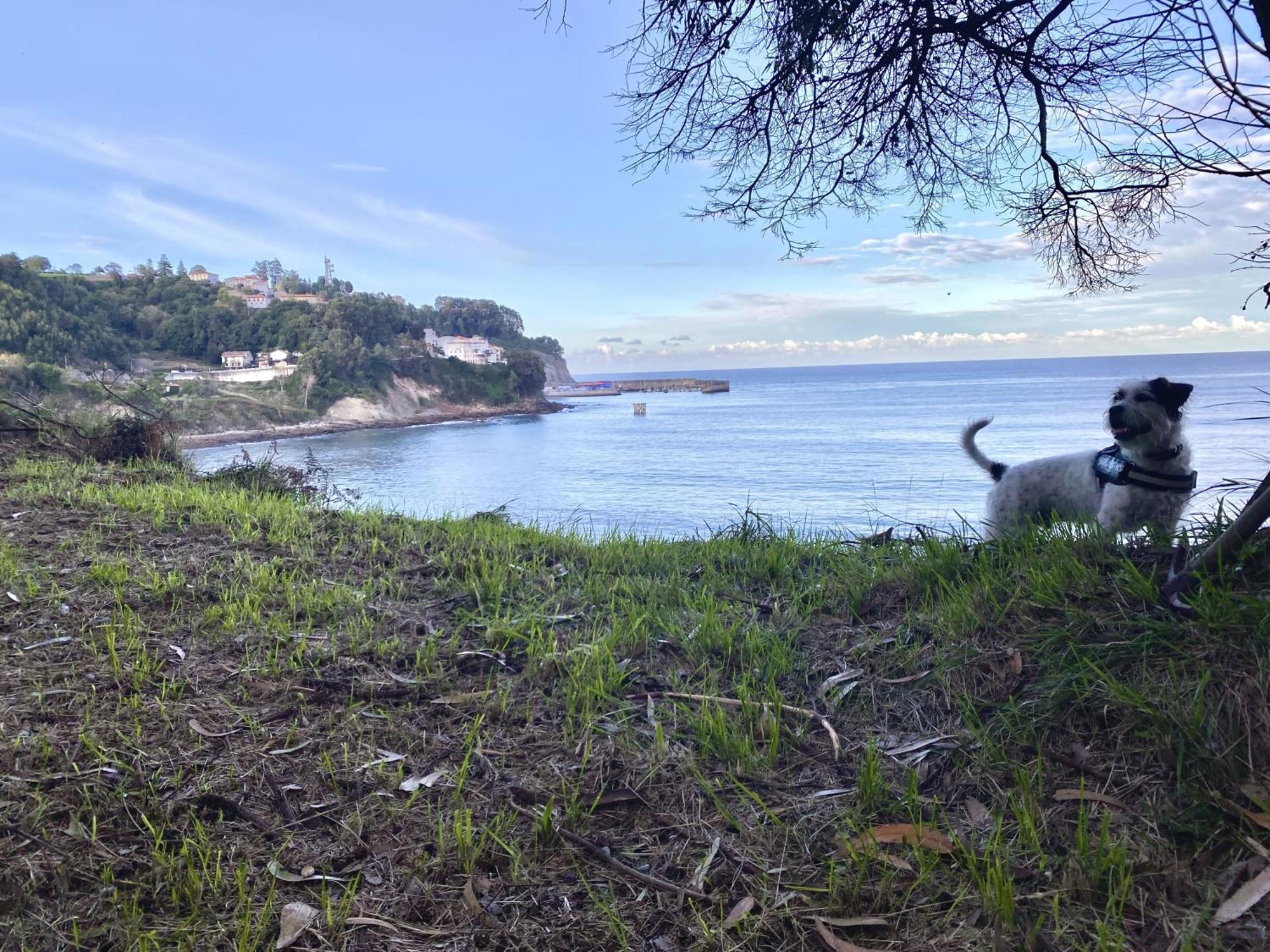 Respirando Salitre Apartamento En Lastres Eksteriør bilde